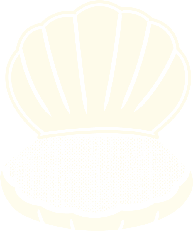 Open Shell